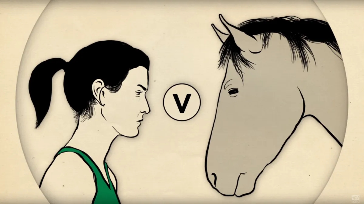 Man vs. Horse Marathon